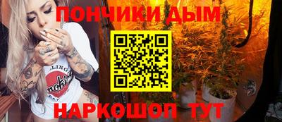 стаф Будённовск