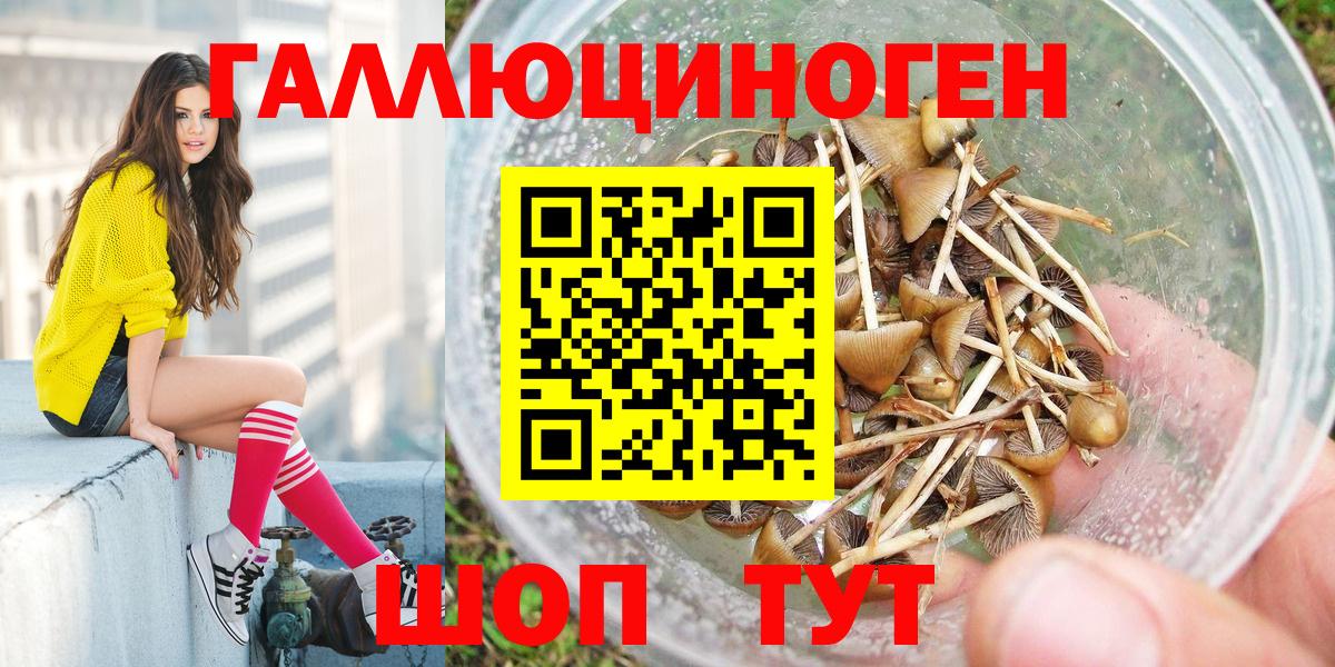 Галлюциногенные грибы Приморско-Ахтарск